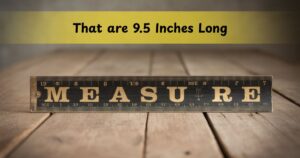 11 Common Things that are 9.5 Inches Long: Your Complete Visual Guide
