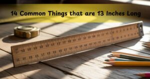 14 Common Things that are 13 Inches Long: Your Complete Measurement Guide