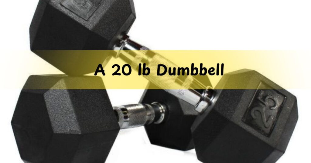 A 20 lb Dumbbell