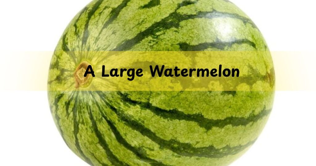A Large Watermelon