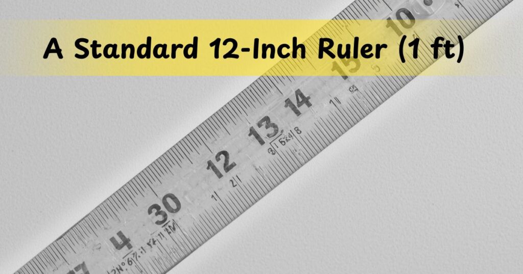 A Standard 12-Inch Ruler (1 ft)