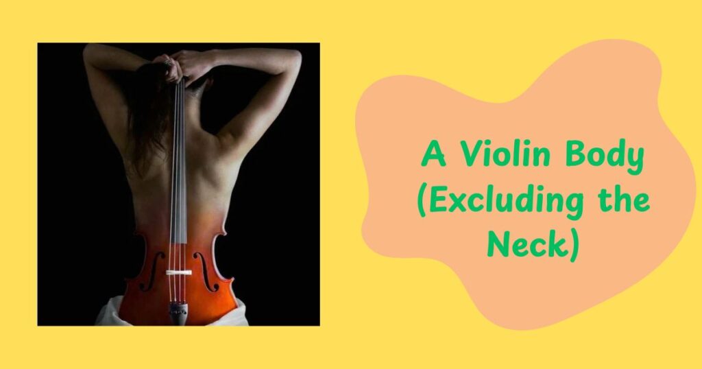 A Violin Body (Excluding the Neck)