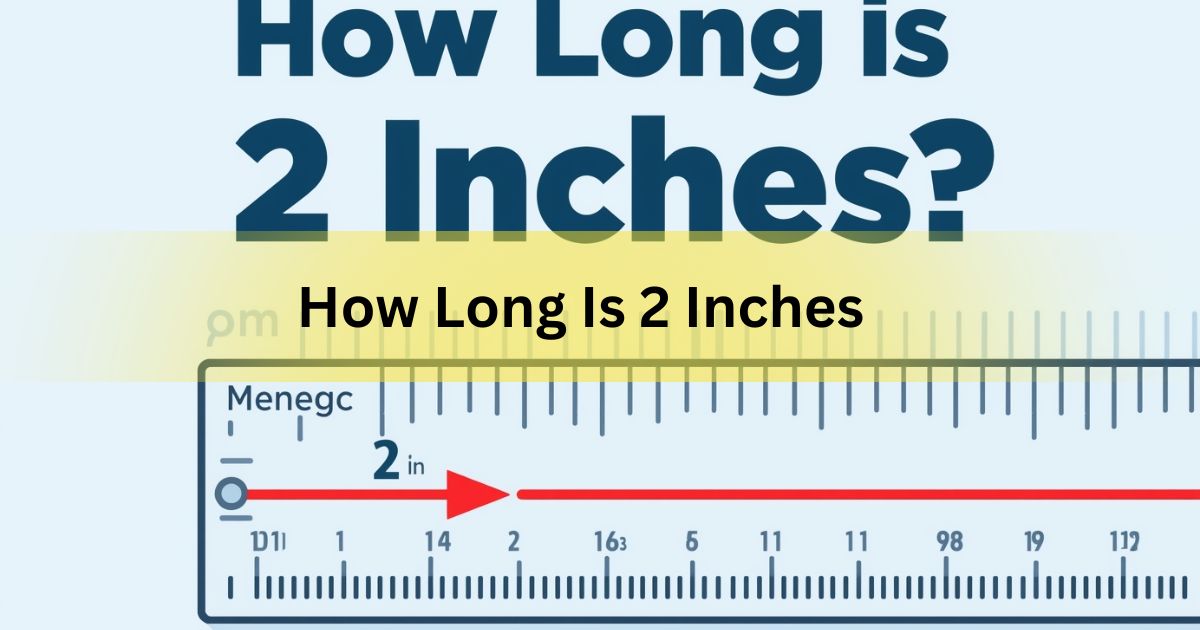 How Long Is 2 Inches? 12 Common Items That Show This Measurement