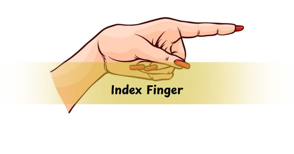 Index Finger
