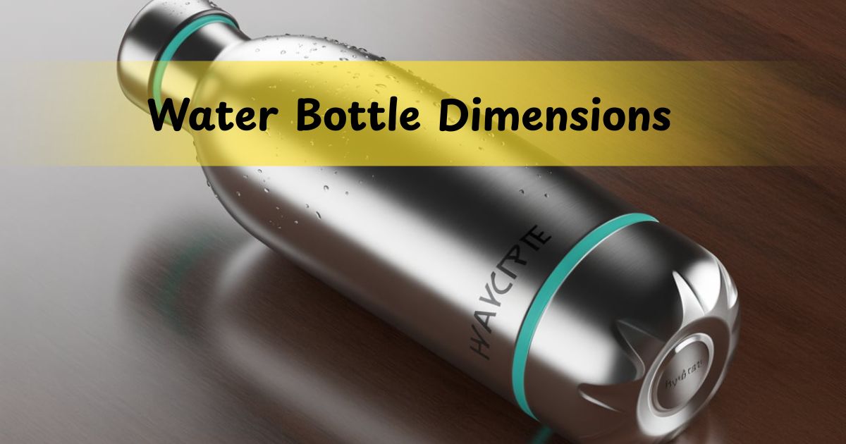 Water Bottle Dimensions: A Complete Guide With Facts