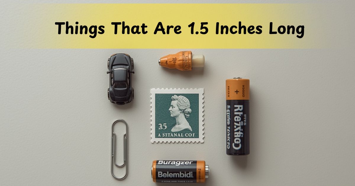 10 Common Things That Are 1.5 Inches Long (Easy Visual Guide)