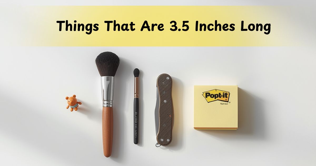 10 Common Things That Are 3.5 Inches Long: Your Quick Visual Guide