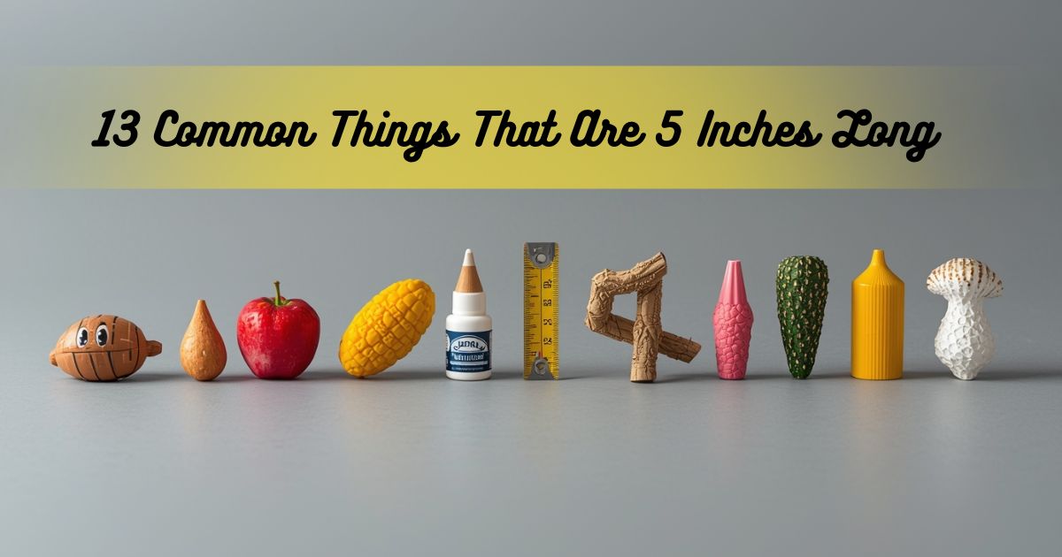 13 Common Things That Are 5 Inches Long