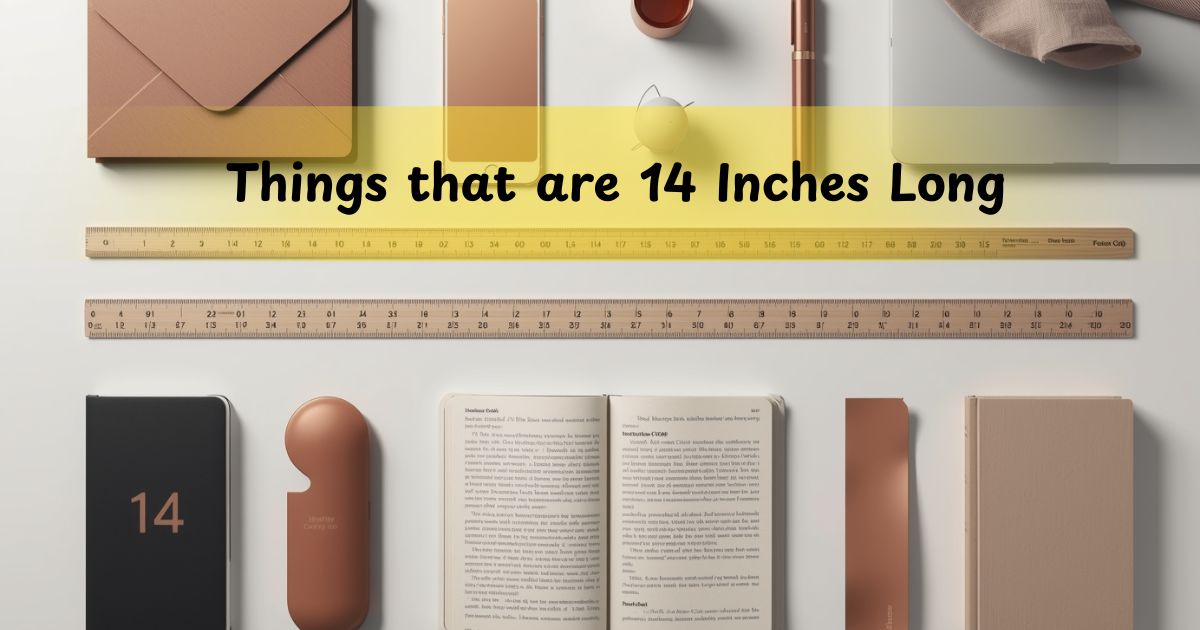 14 Common Things that are 14 Inches Long: Your Ultimate Visual Guide