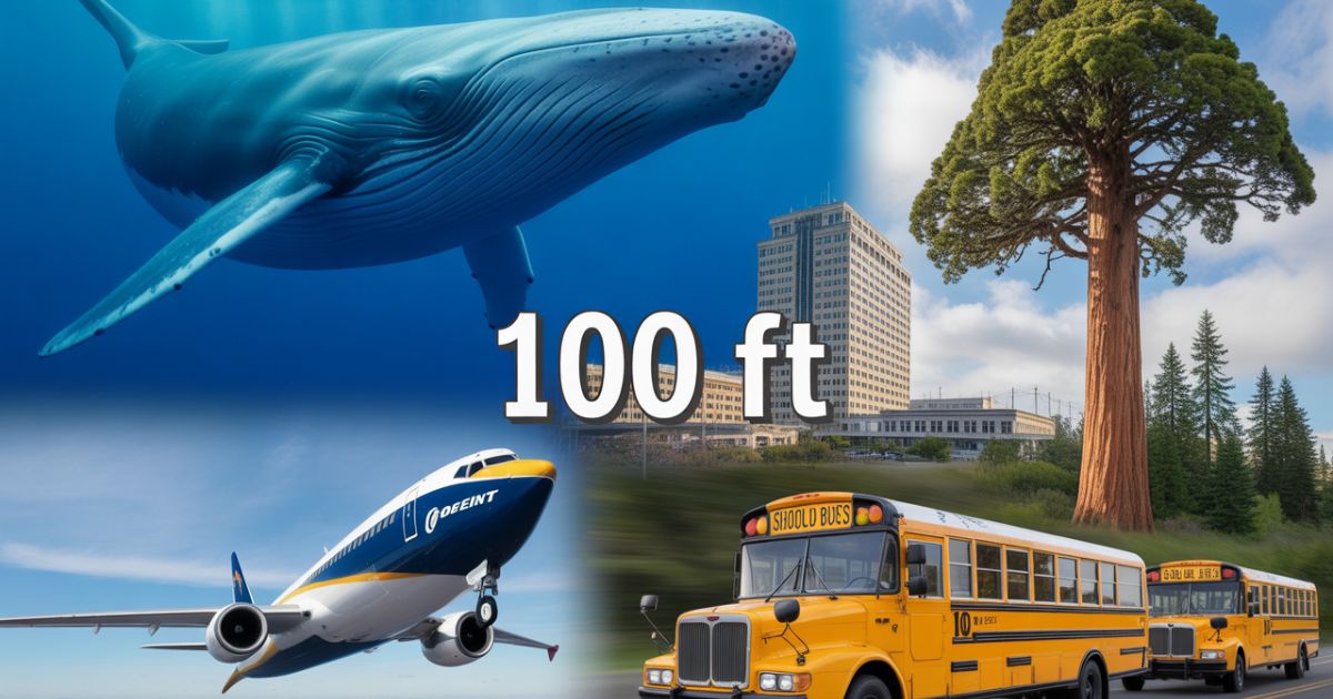 15 Things That Are 100 Feet (ft) In Length