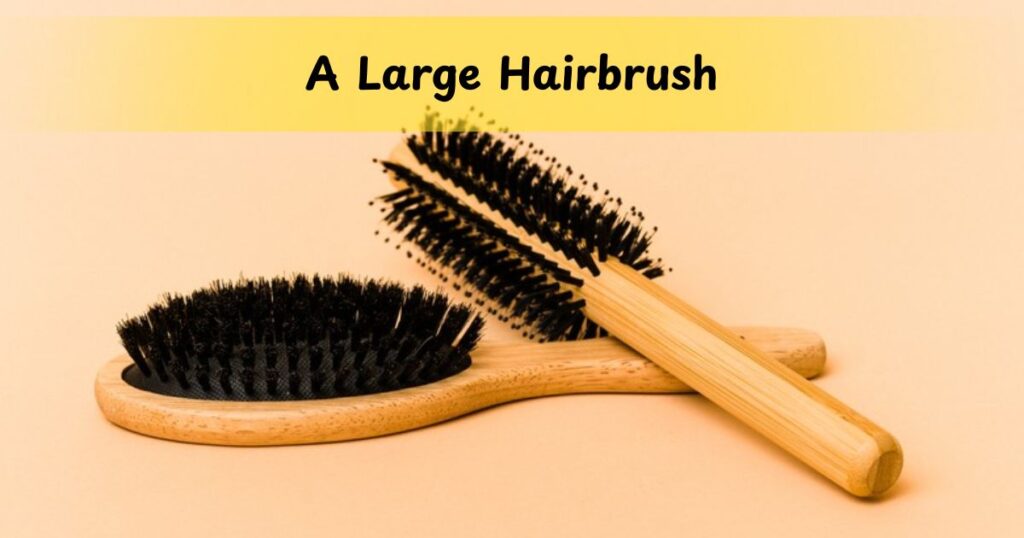 A Large Hairbrush