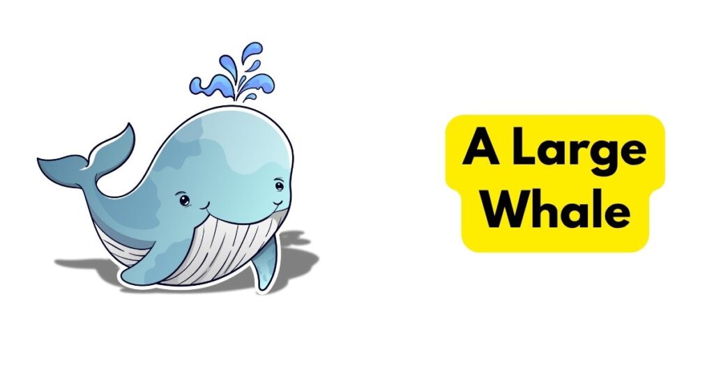 A Large Whale