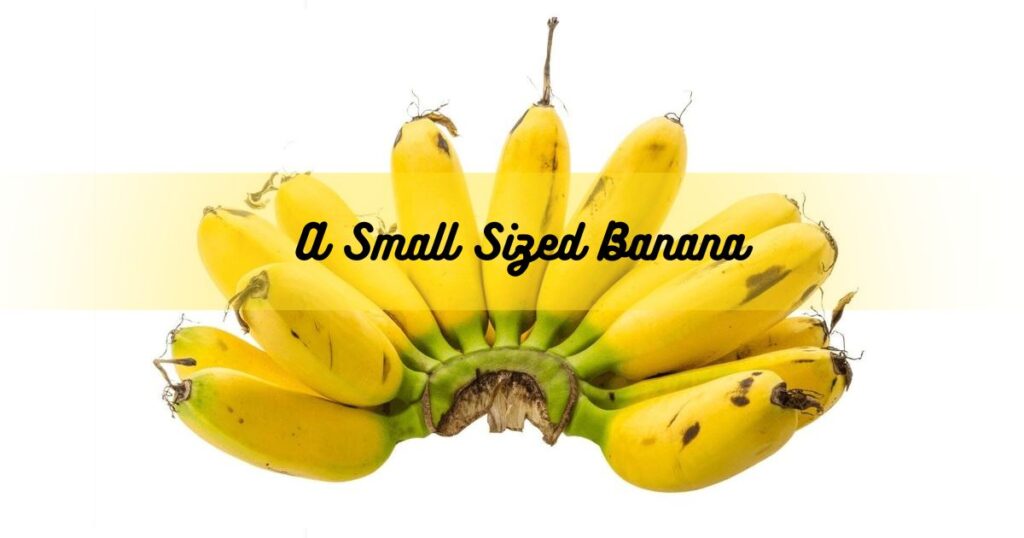 A Small Sized Banana