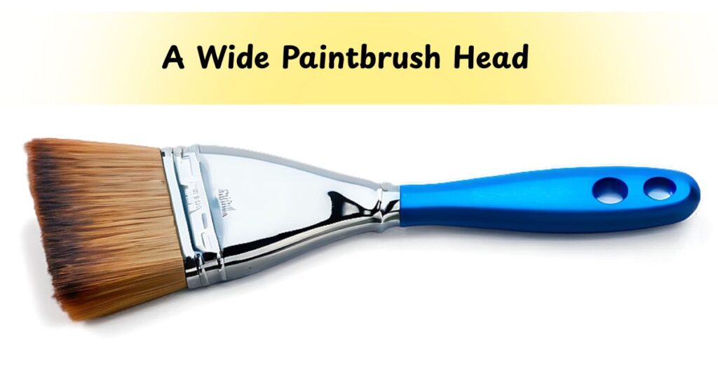 A Wide Paintbrush Head