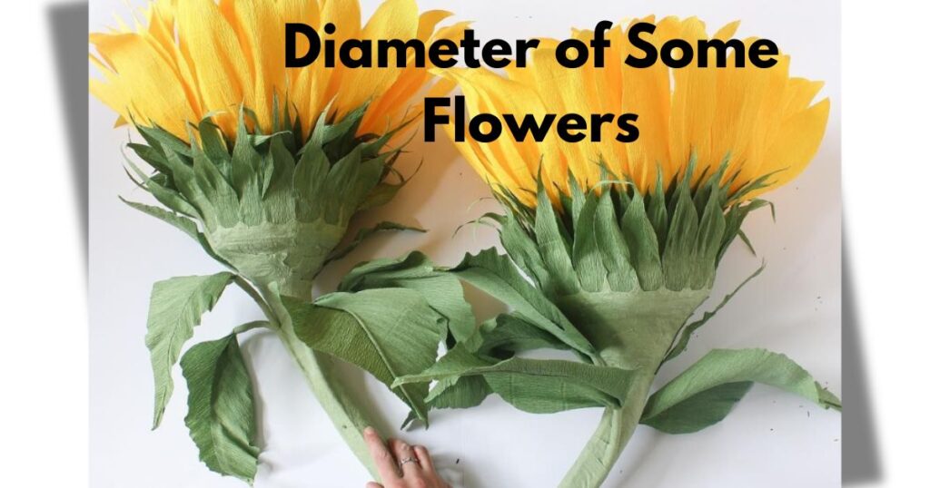 Diameter of Some Flowers