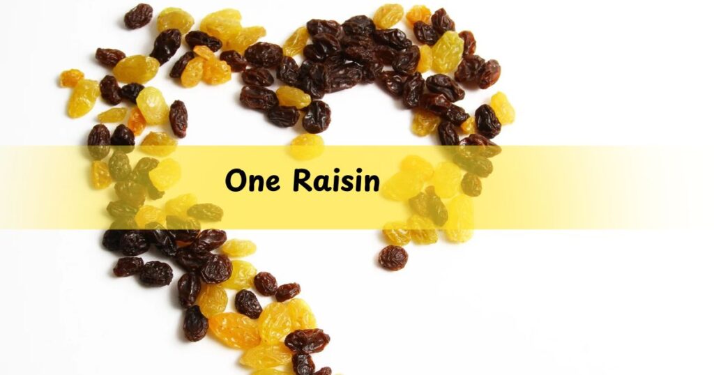 One Raisin