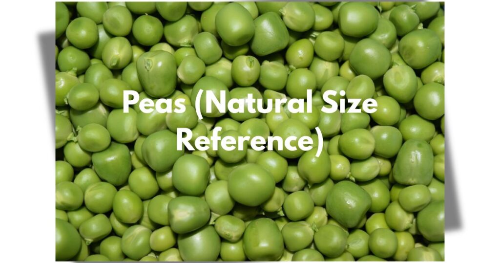 Peas (Natural Size Reference)