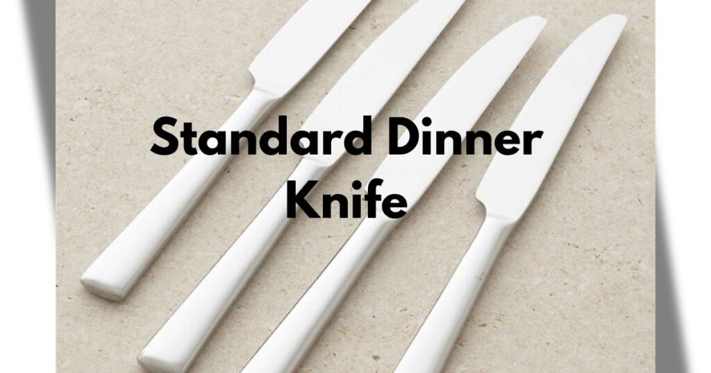 Standard Dinner Knife