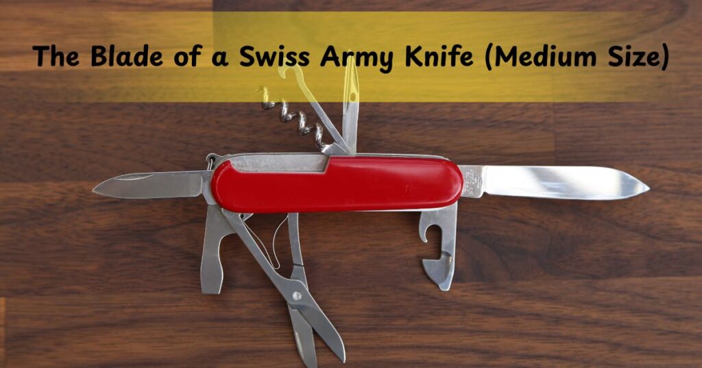 The Blade of a Swiss Army Knife (Medium Size)