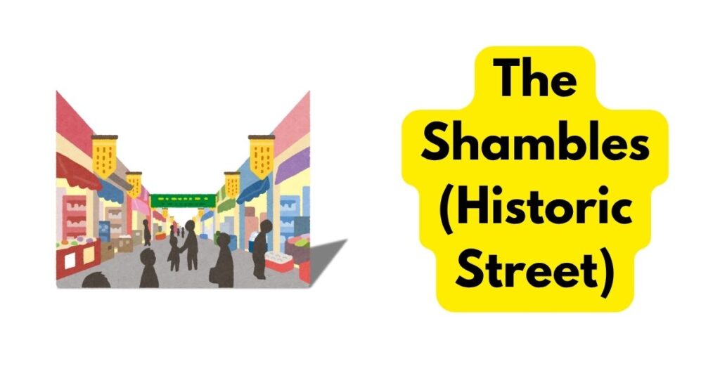 The Shambles (Historic Street)