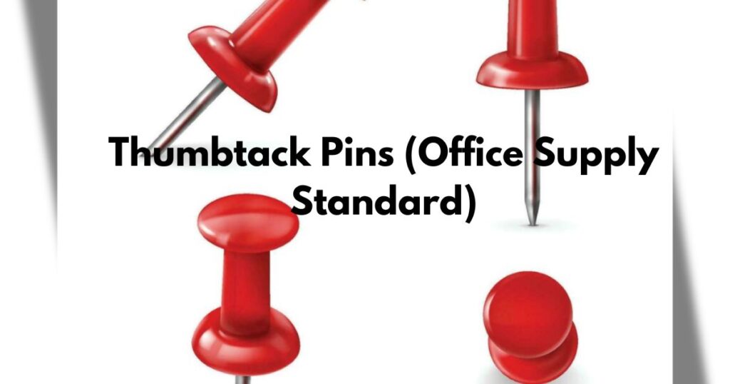 Thumbtack Pins (Office Supply Standard)