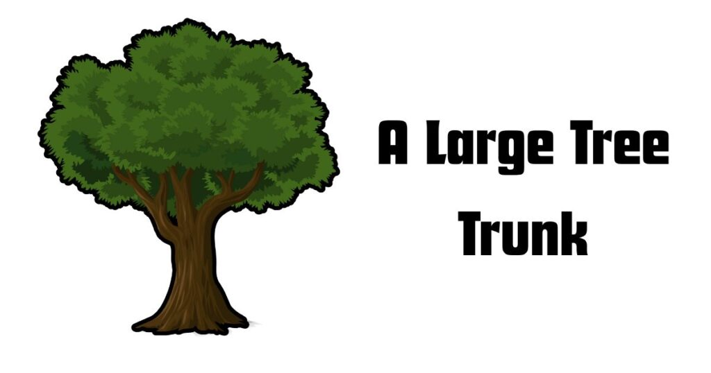 A Large Tree Trunk