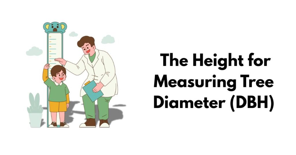  The Height for Measuring Tree Diameter (DBH)